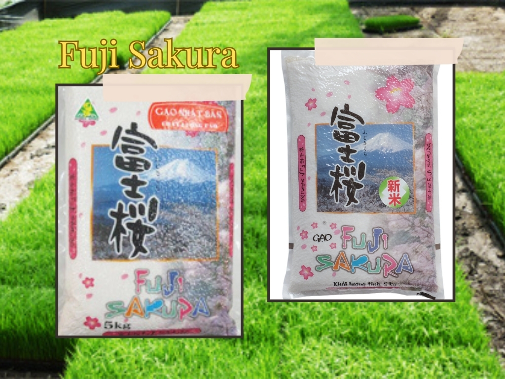 Nhãn hiệu Fuji Sakura